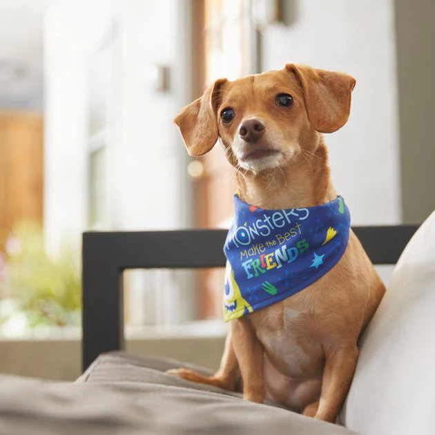 Pixar Monster's Inc "Monsters Make the Best Friends" Dog & Cat Bandana 8 Pixar Monster's Inc "Monsters Make the Best Friends" Dog & Cat Bandana - Image 6