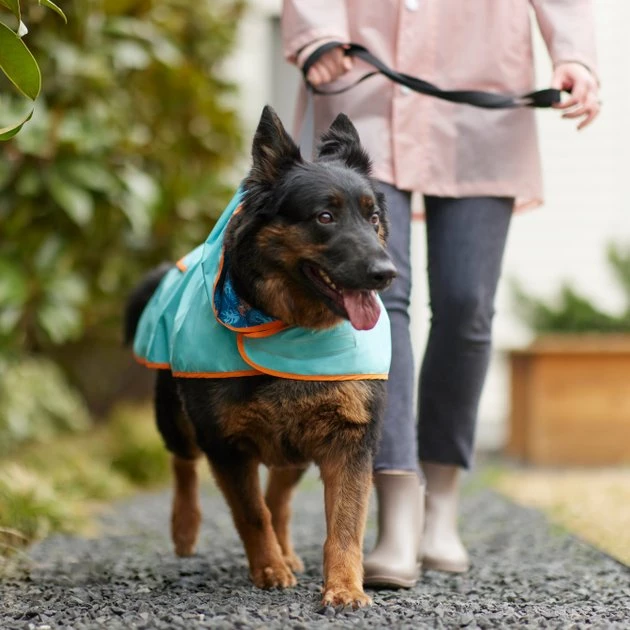 Pixar Finding Nemo "Make a Splash" Dog & Cat Packable Raincoat 10 Pixar Finding Nemo "Make a Splash" Dog & Cat Packable Raincoat - Image 8