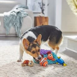 Pixar Finding Nemo's Anemone Hide and Seek Puzzle Plush Squeaky Dog Toy + Nemo & Squirt Bouncy Cat Toy with Catnip -Four Paws Sales 2022 319548 PT4. SY630 V1630618899