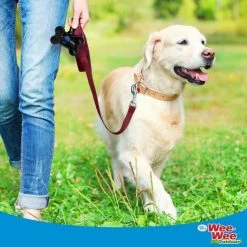 Four Paws Wee-Wee Leak-proofOutdoor Dog Waste Bag Dispenser & Bags, 30 count -Four Paws Sales 2022 329168 PT4. SY630 V1633398092