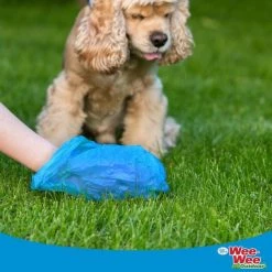 Four Paws Wee-Wee Outdoor Heavy Duty Dog Waste Bag, 90 count 13 Four Paws Wee-Wee Outdoor Heavy Duty Dog Waste Bag, 90 count -Four Paws Sales 2022 329173 PT4. SY630 V1633391189