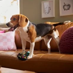 Pixar Halloween Coco Round Plush Squeaky Dog Toy 7 Pixar Halloween Coco Round Plush Squeaky Dog Toy -Four Paws Sales 2022 344489 PT3. SY630 V1657657087