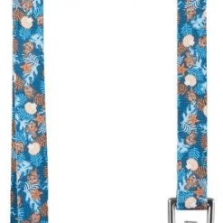 Pixar Finding Nemo Leash -Four Paws Sales 2022 347480 PT2. SY630 V1648228886