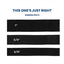 Pixar Finding Nemo Dog Collar -Four Paws Sales 2022 347536 PT3. SY630 V1649086612