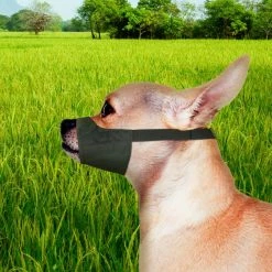 Four Paws Walk-About Quick-Fit Dog Muzzle 15 Four Paws Walk-About Quick-Fit Dog Muzzle -Four Paws Sales 2022 65316 PT5. SY630 V1624394283