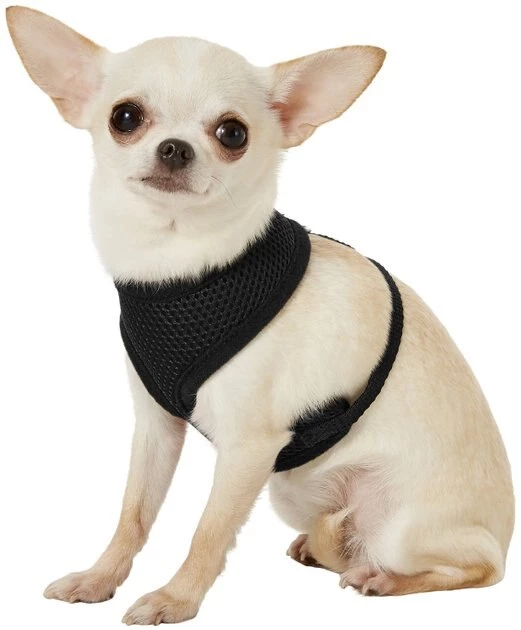 Four Paws Comfort Control Dog Harness 5 Four Paws Comfort Control Dog Harness - Image 3