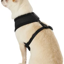 Four Paws Comfort Control Dog Harness 14 Four Paws Comfort Control Dog Harness -Four Paws Sales 2022 65326 PT3. SY630 V1575419336