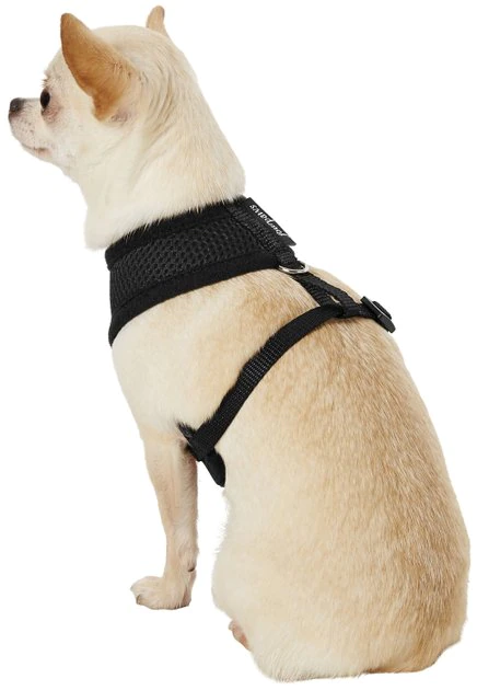 Four Paws Comfort Control Dog Harness 6 Four Paws Comfort Control Dog Harness - Image 4