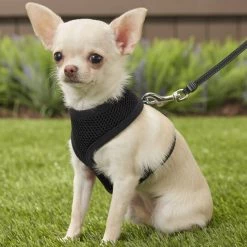 Four Paws Comfort Control Dog Harness 15 Four Paws Comfort Control Dog Harness -Four Paws Sales 2022 65326 PT4. SY630 V1575426207