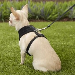 Four Paws Comfort Control Dog Harness 16 Four Paws Comfort Control Dog Harness -Four Paws Sales 2022 65326 PT5. SY630 V1575469079