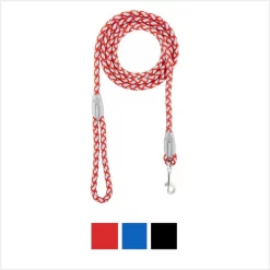 Four Paws Nite Brite Reflecting Dog Leash