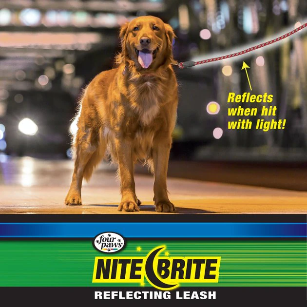 Four Paws Nite Brite Reflecting Dog Leash 6 Four Paws Nite Brite Reflecting Dog Leash - Image 4