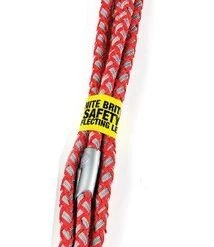 Four Paws Nite Brite Reflecting Dog Leash 16 Four Paws Nite Brite Reflecting Dog Leash -Four Paws Sales 2022 67642 PT6. SY630 V1628305579