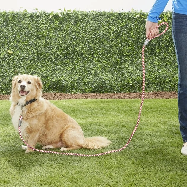 Four Paws Nite Brite Reflecting Dog Leash 10 Four Paws Nite Brite Reflecting Dog Leash - Image 8