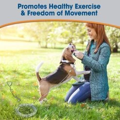 Four Paws Heavy Weight Tie Out Cable -Four Paws Sales 2022 67691 PT2. SY630 V1627353467