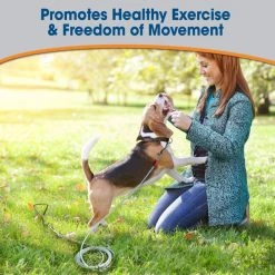 Four Paws Super Weight Tie Out Cable -Four Paws Sales 2022 67697 PT4. SY630 V1627352177