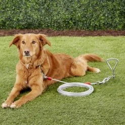 Four Paws Super Weight Tie Out Cable -Four Paws Sales 2022 67697 PT8. SY630 V1522176556
