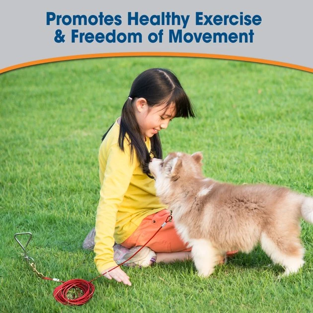 Four Paws Puppy Tie Out Cable 7 Four Paws Puppy Tie Out Cable - Image 5