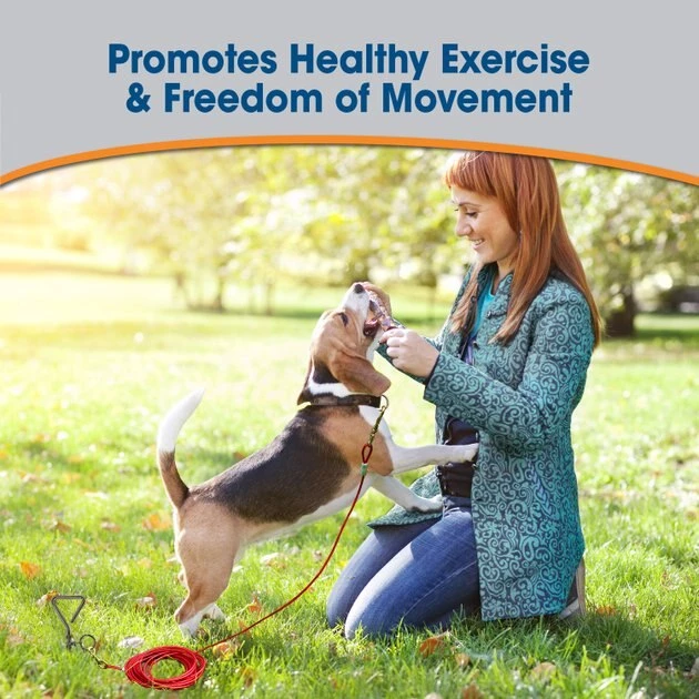 Four Paws Medium Weight Tie Out Cable 5 Four Paws Medium Weight Tie Out Cable - Image 3