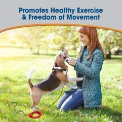 Four Paws Walk-About Spiral Tie-Out Stake -Four Paws Sales 2022 67715 PT5. SY630 V1627350426