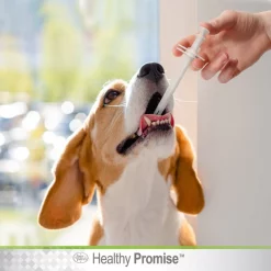 Four Paws Healthy Promise Quick & Easy Pill Dispenser -Four Paws Sales 2022 67813 PT4. SY630 V1621376001
