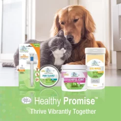 Four Paws Healthy Promise Quick & Easy Pill Dispenser -Four Paws Sales 2022 67813 PT6. SY630 V1621376006