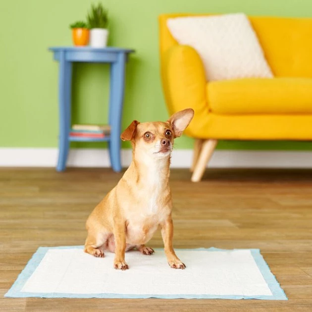 Wee-Wee Pads Unscented Super Absorbent Adult Dog Pee Pads, 24x24-in 8 Wee-Wee Pads Unscented Super Absorbent Adult Dog Pee Pads, 24x24-in - Image 7